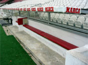 El banquillo de los leones