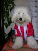 Urdin