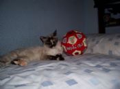 Mi pasión