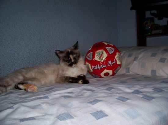 Mi pasión