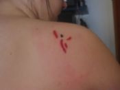 Tattu