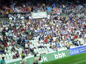 Los Leones Italianos en el Athletic-Chievo