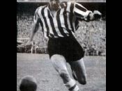 Garay