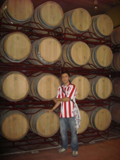 Con toneles de vino