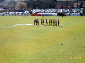 Aupa leonas