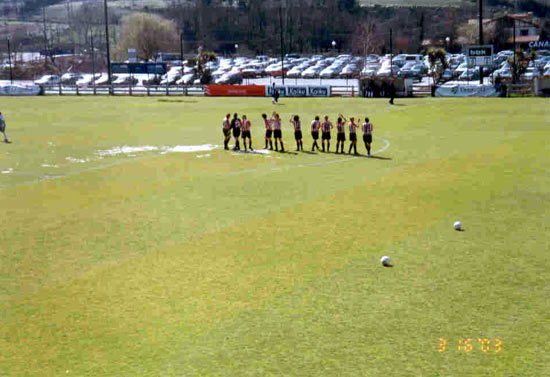Aupa leonas