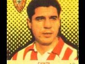 Gaínza en cromos