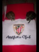 Mis tortus xD