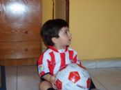 Pequeño león