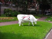 La vaca