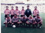 Los leones
