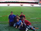 Al ras del césped