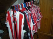 Mi colección zurigorri
