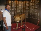 Museo del Athletic