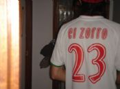 el zorro
