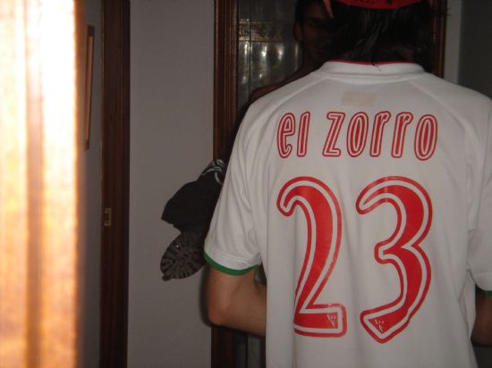 el zorro