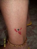 Mi tatoo