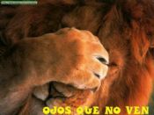 Hay ené!