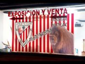 Tienda