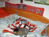 Misi