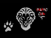 Fondo de pantalla Athletic
