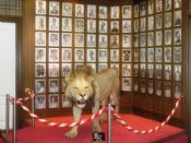 El León