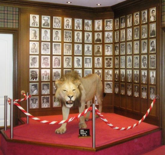 El León