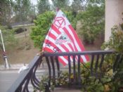 bandera final copa