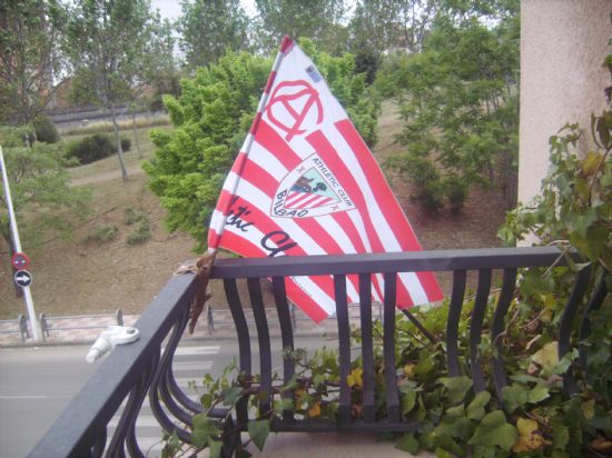 bandera final copa
