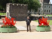 DRAGONS & LIONS