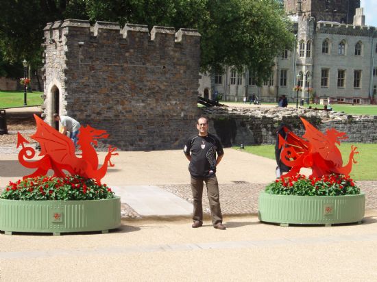 DRAGONS & LIONS