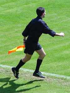 Colgados de un Pino Zamorano