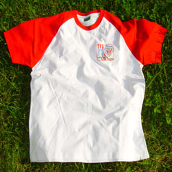 Camiseta de la Peña Catedral de León