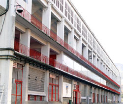 Promoción de ''Euskal esnea'' en San Mamés