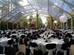 Comida en Villareal