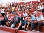 Partido 