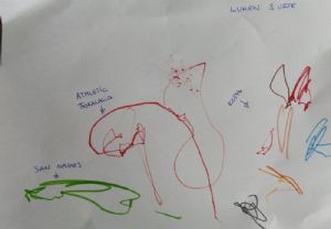 Luken (3 años)